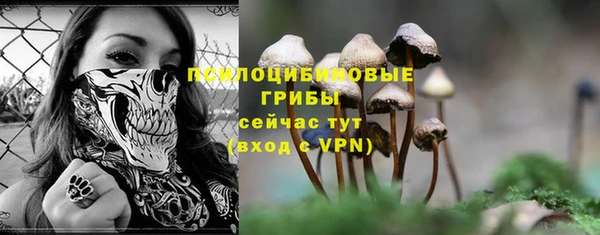 кокс Армянск