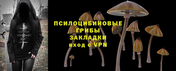 кокс Армянск