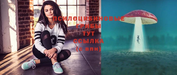экстази Арсеньев